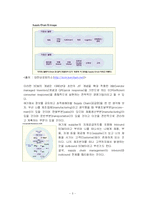 [경영정보시스템] Wal-Mart 월마트 SCM 사례-5