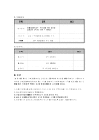 [이벤트기획론] 크리스마스 이벤트 기획안-11