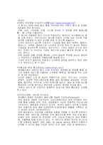 [경영정보] SIS를 이용한 창업 사업 계획서-7