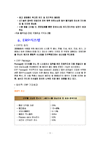 [mis] LG CNS 경영정보시스템 사례-12