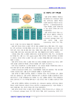 [경영정보시스템] 대웅제약의 산업분석과 ERP 구축사례-13
