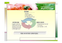 [경영정보시스템] 풀무원의 정보시스템 사례-9
