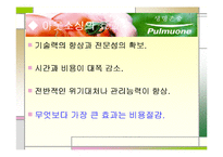 [경영정보시스템] 풀무원의 정보시스템 사례-10