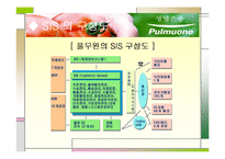 [경영정보시스템] 풀무원의 정보시스템 사례-18