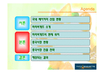 [국제경영] 베이커리, 파리바게뜨 중국시장진출전략-10
