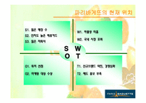 [국제경영] 베이커리, 파리바게뜨 중국시장진출전략-13