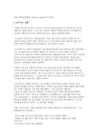 [영미문학] `아들과 연인`분석-6