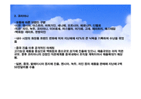 엘지생활건강의 화장품 브랜드 마케팅 전략-12