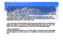 엘지생활건강의 화장품 브랜드 마케팅 전략-16