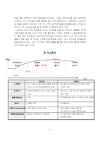 [마케팅] 요거트 아이스크림 `레드망고` 마케팅사례분석-11