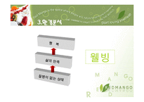 [마케팅] 요거트 아이스크림 `레드망고` 마케팅사례분석-7