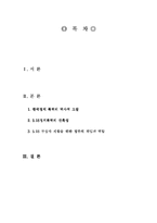 [정치학] 518광주민중항쟁-2