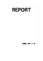 [정치학] 포스트 양김시대의 한국정치에 대한 조명과 미래 우리정치에 대한 전망-1
