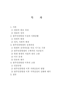 [한국정치] 5.18 광주 민주항쟁은 왜 일어났을까-2