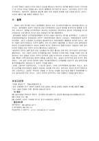 [정치학] 518 광주민주항쟁-7