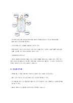 [다이어트] 다이어트별 효과와 부작용 및 분석-19