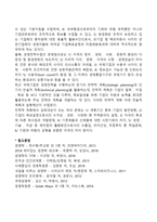 [국제경영전략] 글로벌(국제)기업 경영전략의 수립과정 및 장단점-3