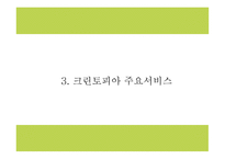 크린토피아 기업분석과 성공요인분석및 마케팅 SWOT,STP,4P전략분석및 크린토피아 미래전략수립 PPT-8