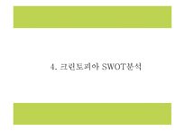 크린토피아 기업분석과 성공요인분석및 마케팅 SWOT,STP,4P전략분석및 크린토피아 미래전략수립 PPT-11
