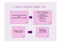 새우깡의 마케팅 믹스 -13