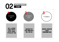 11조_LI_&_FUNG 문제점과 해결방안 -11