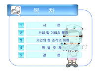 병원산업 조직분석 -4