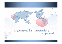 Las palmas 한인 의류사 -5