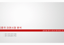 중국 라면시장 진출 사례 분석 -3