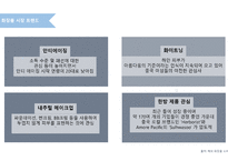 amorepacific_문제점과 해결방안 -16