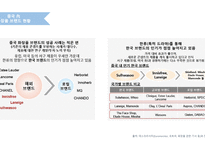 amorepacific_문제점과 해결방안 -19