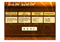 국내기업의 해외진출 실패사례 -대우자동차의 폴란드 시장진출 실패- -11