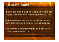 국내기업의 해외진출 실패사례 -대우자동차의 폴란드 시장진출 실패- -14