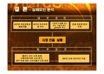 국내기업의 해외진출 실패사례 -대우자동차의 폴란드 시장진출 실패- -17