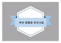 부안 방폐장 유치사업 -1