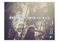 미소주 분석, 문제점, 해결방안-병디자인 -1