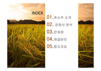 미소주 분석, 문제점, 해결방안-병디자인 -2