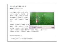 미소주 분석, 문제점, 해결방안-병디자인 -9