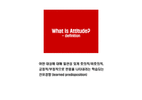 Consumer’s Lifestyle – 태도(Attitude) - 태도에 대한 마케팅적 관점에서의 연구 -3