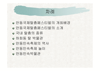 안동권의 축제와 문화콘텐츠 -2