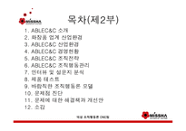 주식회사 미샤 조직행동론 최종보고서 -3