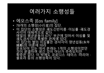 소행성, 지구와 소행성의 충돌 가능성 -14