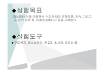 제지단위공정및실험 - 마노미터 식을 이요하여   -2