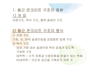 철근 콘크리트 구조 -7