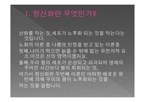 항산화란 무엇인가, 산화란 무엇인가 -2