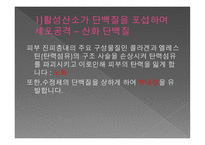 항산화란 무엇인가, 산화란 무엇인가 -6