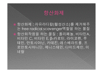 항산화란 무엇인가, 산화란 무엇인가 -8