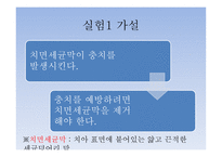 치약의 종류에 따른 치아 살균효과 및 PH측정 -10