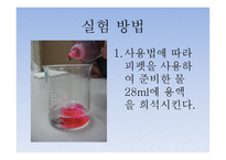 치약의 종류에 따른 치아 살균효과 및 PH측정 -16