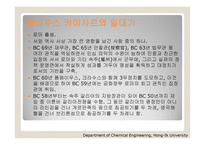 율리우스 카이사르의 리더십 -3