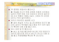 교통사고 예방법 -13
